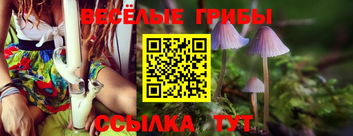 Галлюциногенные грибы прущие грибы Балашов